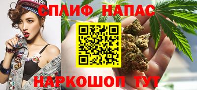 mdpv Заводоуковск