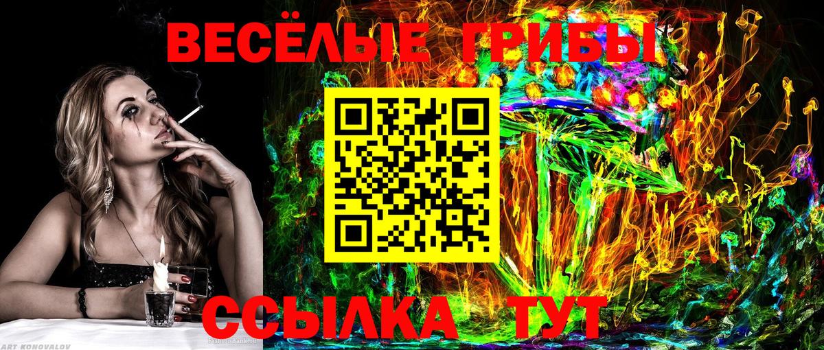 Галлюциногенные грибы MAGIC MUSHROOMS Менделеевск